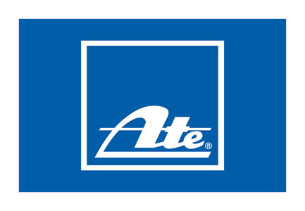 Auszug
